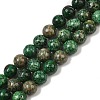 Natural Chrysocolla Beads Strands G-I318-09B-1