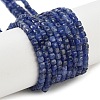 Natural Sodalite Beads Strands G-H042-B08-01-1