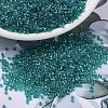 MIYUKI Delica Beads SEED-X0054-DB2380-1