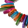 Natural Freshwater Shell Beads Strands SHEL-K006-40-3