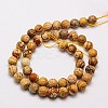 Natural Picture Jasper Beads Strands G-G542-6mm-08-2