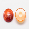 Oval Natural Carnelian Cabochons G-K020-30x22mm-05-1