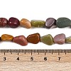 Natural Alashan Agate Beads Strands X-G-Q060-E19-02-5