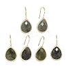 Natural Gemstone Dangle Earrings EJEW-L228-01-2
