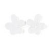 Natural Quartz Crystal Pendants G-T142-44B-2