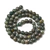 Natural Green Apatite Beads Strands G-K350-C04-6mm-3