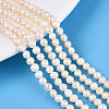 Natural Cultured Freshwater Pearl Beads Strands X-PEAR-N013-04F-1