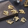 Alloy Pendants LS-X-TIBEP-A040-015G-NR-4