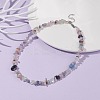 Natural Fluorite Chip Beaded Necklace NJEW-JN03824-02-2
