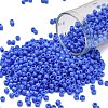 TOHO 8/0 Round Beads SEED-XTR08-0048L-1