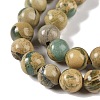 Natural Verdite Stone Beads Strands G-P530-B07-02-4