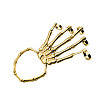 Punk Style Alloy Skeleton Hand Ring Bracelets with Finger Nails Tip Claw FS-WG41BB9-01-1