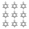 304 Stainless Steel Charms STAS-CJ0002-06-5