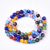Handmade Lampwork Beads Strands LAMP-S191-10A-2