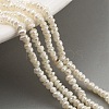Natural Keshi Pearl Cultured Freshwater Pearl Beads Strands PEAR-C003-35-1