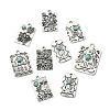 24Pcs 12 Styles Resin Imitation Turquoise Pendants FIND-CJ0003-52-9