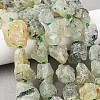 Raw Rough Natural Prehnite Beads Strands LS-G-P528-A05-01A-1