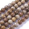 Natural Petrified Wood Beads Strands G-P430-16-C-2