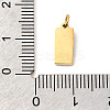 304 Stainless Steel Micro Pave Cubic Zirconia Pendants STAS-P431-22G-3