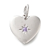 925 Sterling Silver Micro Pave Clear Cubic Zirconia Charms STER-V001-01P-02-1