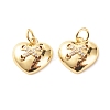 Brass Micro Pave Clear Cubic Zirconia Pendants ZIRC-P094-08G-RS-2