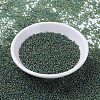 MIYUKI Round Rocailles Beads SEED-G007-RR0288-2