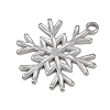 304 Stainless Steel Pendants LS-STAS-G363-04P-2