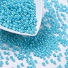 Eco-Friendly Poly Styrene Acrylic Beads PL650-5-1