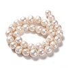 Natural Cultured Freshwater Pearl Beads Strands PEAR-L033-91-3