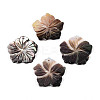 Natural Black Lip Shell Carved Pendants SHEL-T020-21-1