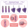 24Pcs 2 Styles Natural Amethyst Pendants G-UN0001-12C-5