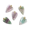 Natural Fluorite Pendants X-G-E570-01G-01-1