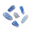 Natural Kyanite/Cyanite/Disthene Chip Beads Beads LS-X-G-L588-01-2