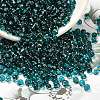 MIYUKI 3.4mm Drop Beads SEED-MY04-DP2425-2
