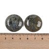 Natural Labradorite Cabochons G-H1596-FR-25mm-05-3