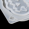 Halloween Theme Pumpkin/Bat/Ghost DIY Silicone Quicksand Molds LS-DIY-Q030-04B-7