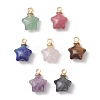 Natural Rhodonite & Lepidolite & Larvikite & Tiger Eye & Lapis Lazuli & Rose Quartz & Green Aventurine Star Charms X-PALLOY-JF04845-1