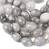 Natural Cloudy Quartz Beads Strands G-G453-D08-01-4