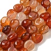 Natural Brazil Red Agate Beads Strands X-G-L599-A01-02-2