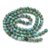 Natural HuBei Turquoise Beads Strands G-P629-A04-03-4