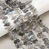 Natural Labradorite Beads Strands G-C273-B01-1