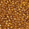 Picasso Baking Paint Glass Seed Beads SEED-N007-35C-3
