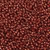 TOHO 11/0 Round Beads SEED-XTR11-PF2113-3
