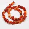 Nuggets Natural Red Carnelian Beads Strands G-N0128-69-2