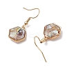 Natural Paua Shell Dangle Earrings EJEW-JE06274-5