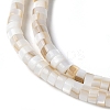 Natural Freshwater Shell Beads Strands SSHEL-C013-04A-3