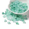 Acrylic Beads OACR-C020-02F-3