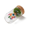 Natural Shell Chips Money Tree in Dome Glass Bell Jars with Wood Base Display Decorations DJEW-K030-02J-2