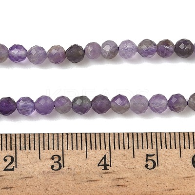 Natural Amethyst Beads Strands G-A252-A03-01A-1