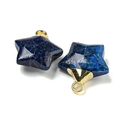 Natural Sesame Jasper Imitation Lapis Lazuli Pendants G-P540-01G-04-1-1